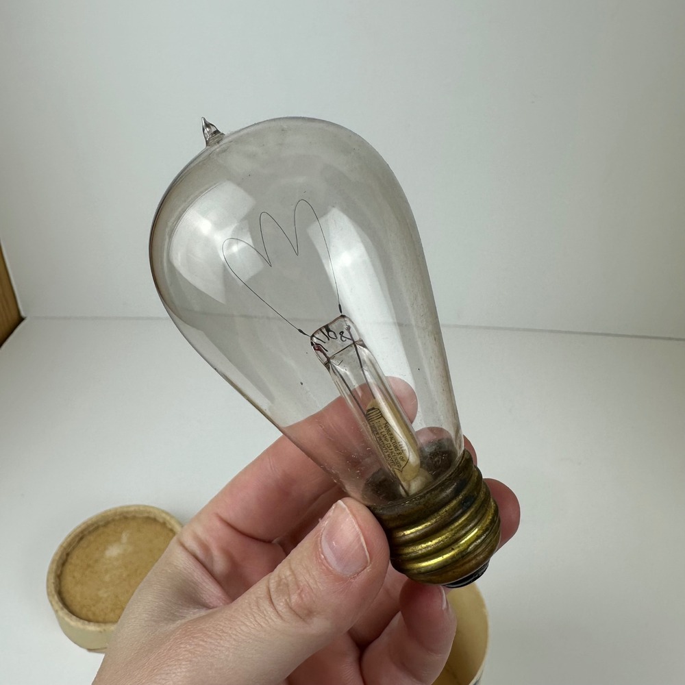 Antique Edison Style Light Bulb Vintage Clear Glass 110V Industrial Decor 1920s